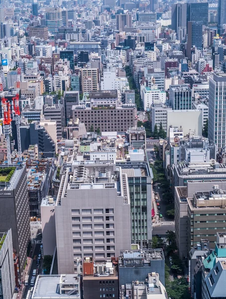 View of Tokyo, Japan