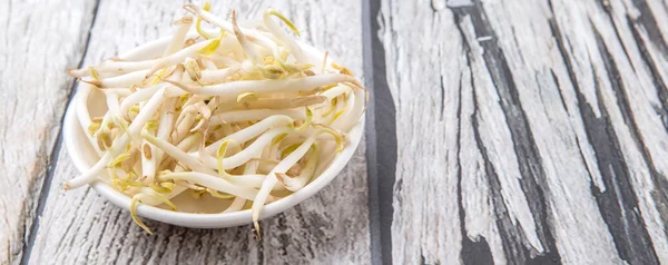 Bean Sprout In White Bowl
