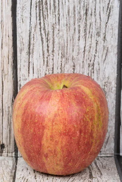 Japanese Fuji Apple