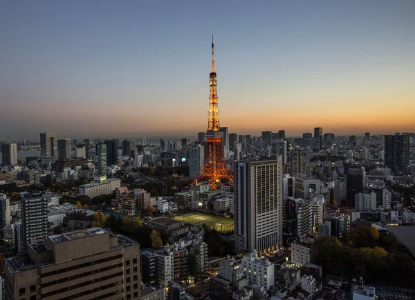 Tokyo Tower View