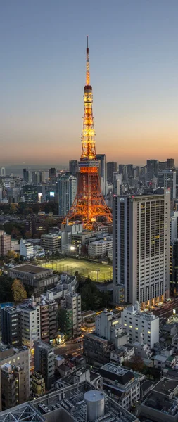 Tokyo Tower View