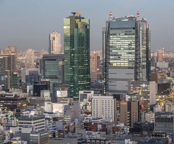 Tokyo Cityscape View