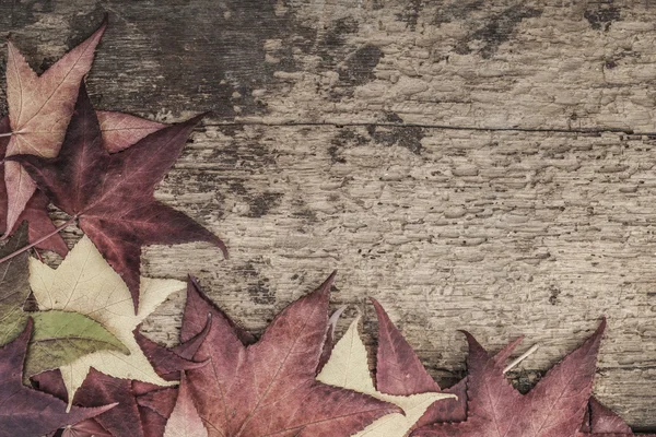 Autumn template with colorful leaves on wood