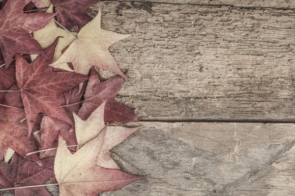 Autumn template with colorful leaves on wood