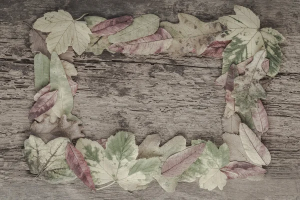 Autumn template with dried leaves on wooden surface