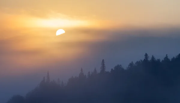 Fog over mountain range in sunrise light.