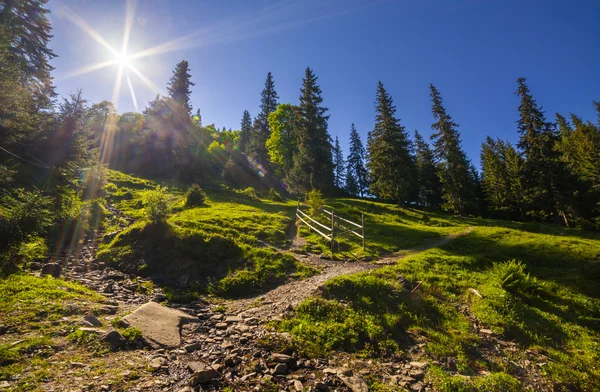 Mountain landscape