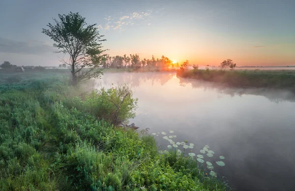 Colourful sunset on the river