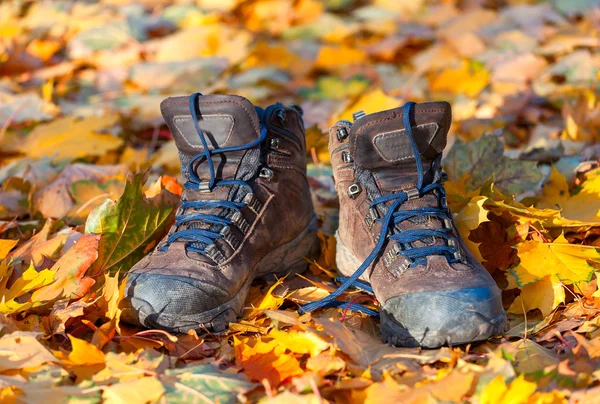 Hiking boots, well worn and muddy on the forest floor