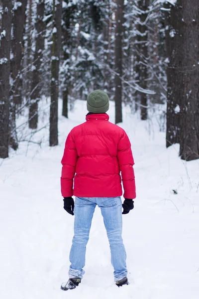 A man in a red jacket, walking in a snowy forest in the winter.