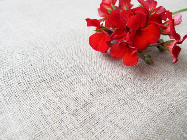 Red flower on a background of natural linen