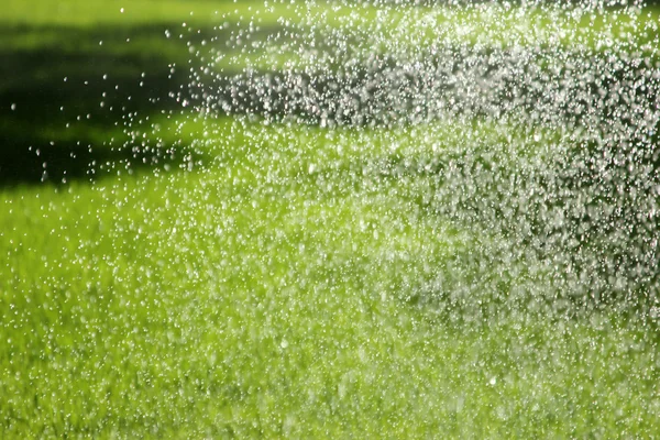 Sprinkler Watering the Lawn
