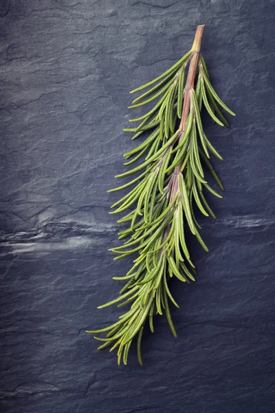 Rosemary herb on black vintage tile slate background
