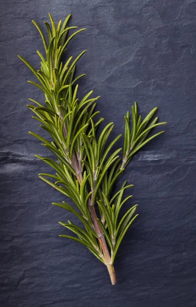 Rosemary herbs with a small piece of rosemary beside it  on dark