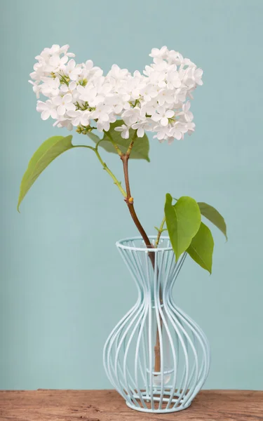A bunch of white lilac flowers in a wire base