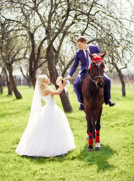 Groom on a horse gives the bride's bouquet in the spring, apple