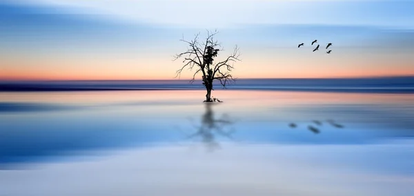 Concept fine art image of tree and birds in still waters