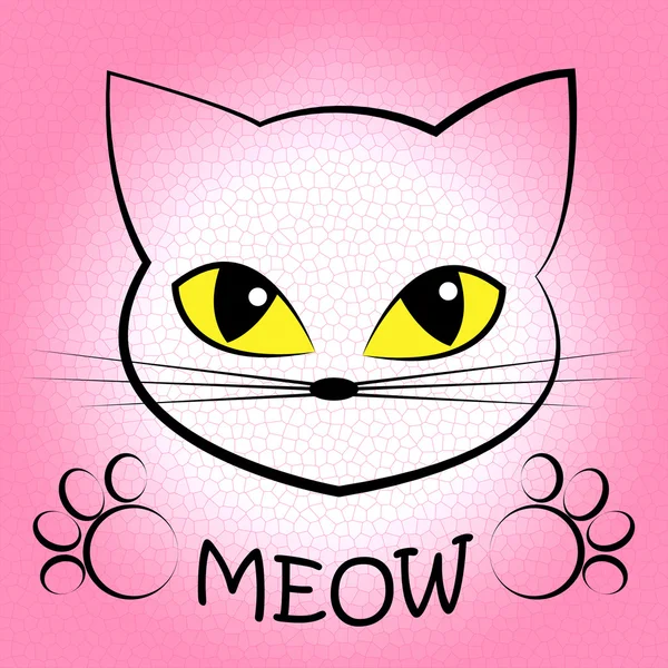 Cat Meow Means Feline Noise And Sound