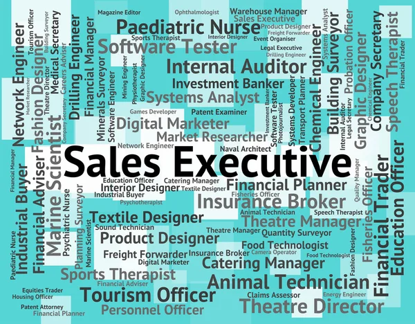 Sales Executive Means Director General And Md