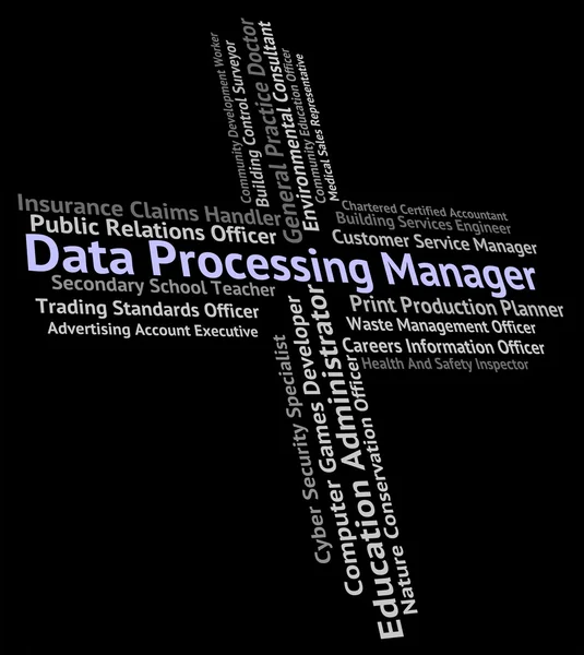Data Processing Manager Means Hire Work And Occupation