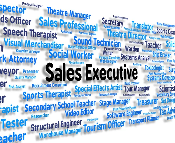 Sales Executive Shows Senior Administrator And Boss