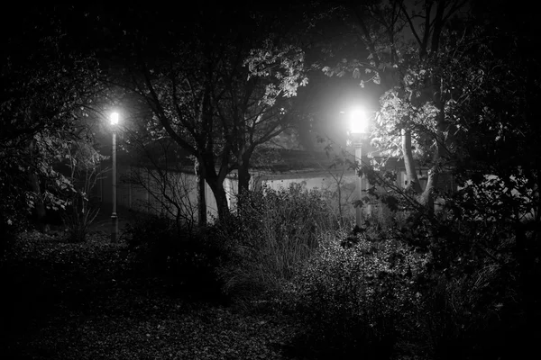 Creepy park at night with illumination