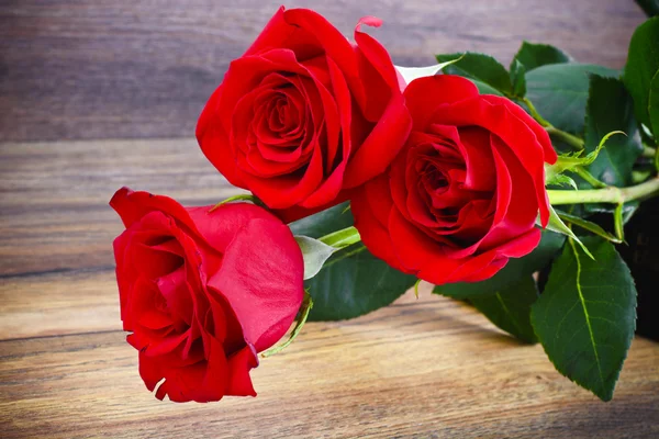 Beautiful Red Roses Flower on Wood