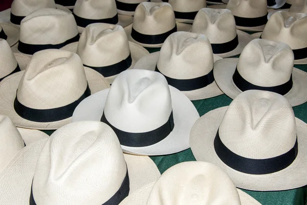 Accessory - Panama Hats