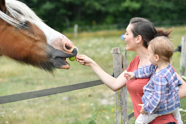 Mother with little girl feeding horse