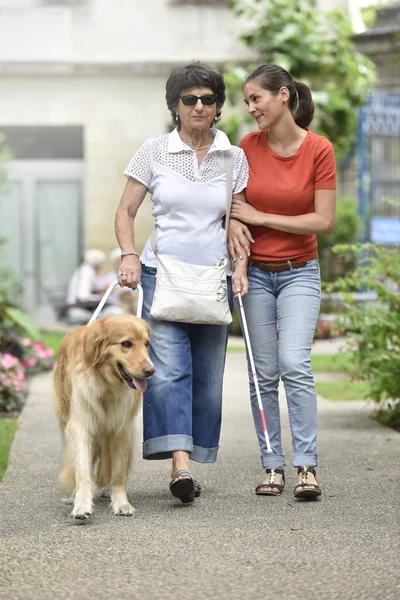 Blind woman walking