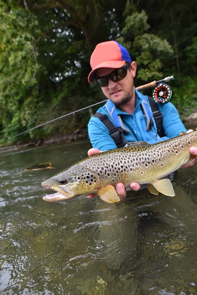 Fly-fisherman holding brown trout