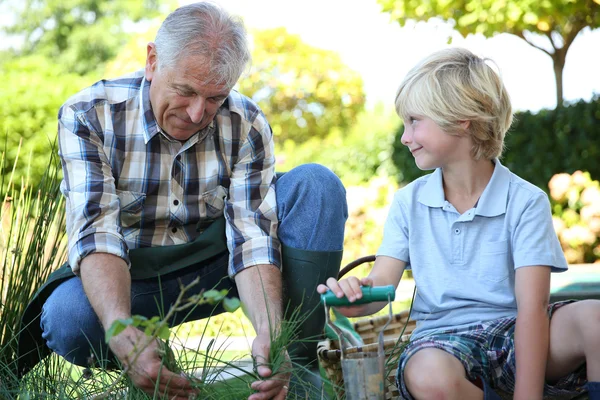 Grandpa with grandson gardening together