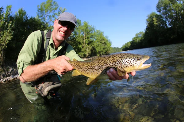 Fly-fisherman holding brown truit
