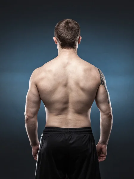 Muscular male back isolated on dark blue background