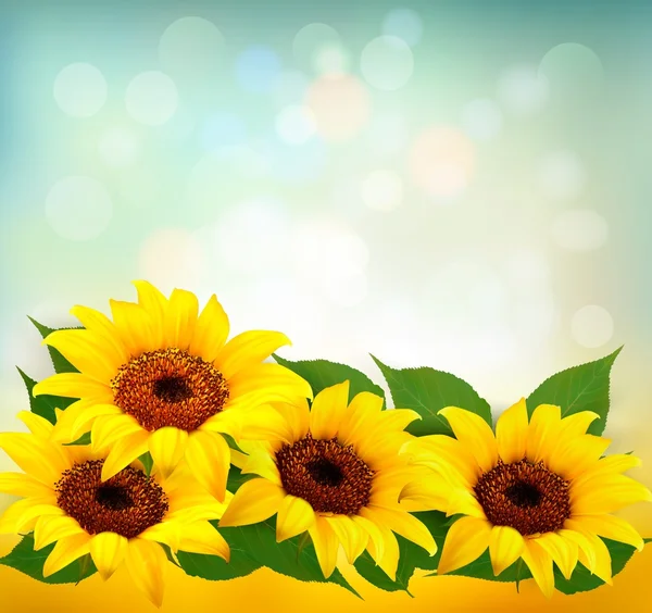 Sunflowers Background With Sunflower And Leaves. Vector.