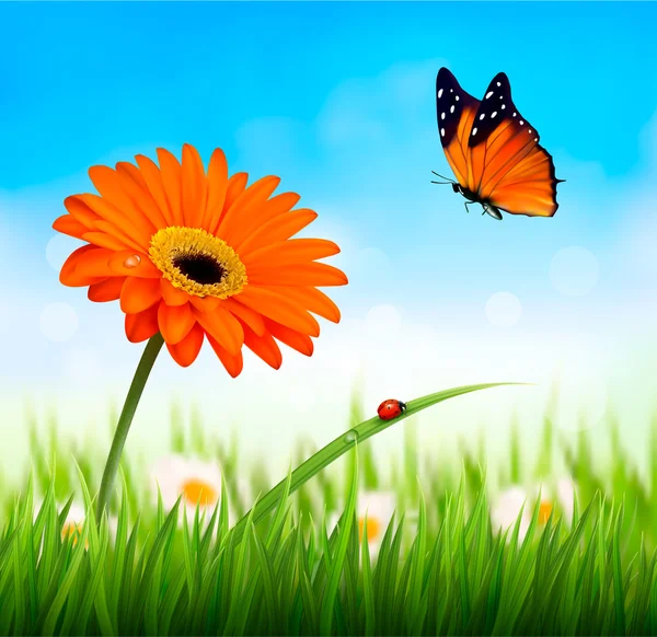 Spring background. Orange beautiful flower and a butterfly. Vect