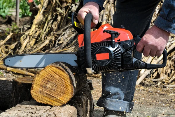 Chainsaw blade cutting log of wood