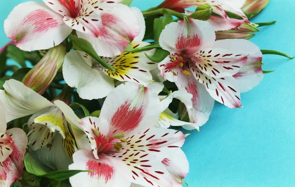 Beautiful lily bouquet