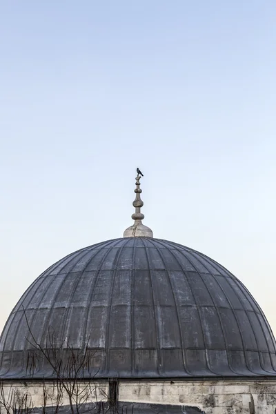 View of Suleymaniye Mosque built by the legendary Ottoman Sultan Suleiman the Magnificent overlooking the Golden Horn