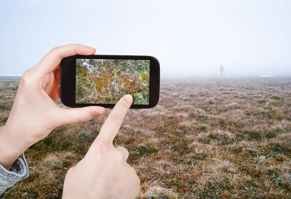 Tourist taking photo of Arctic tundra in spring