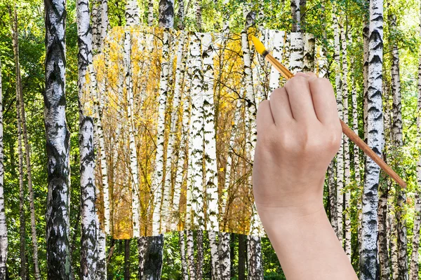 Paintbrush paints yellow autumn birch grove