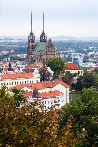 Above view of Brno city with Cathedral