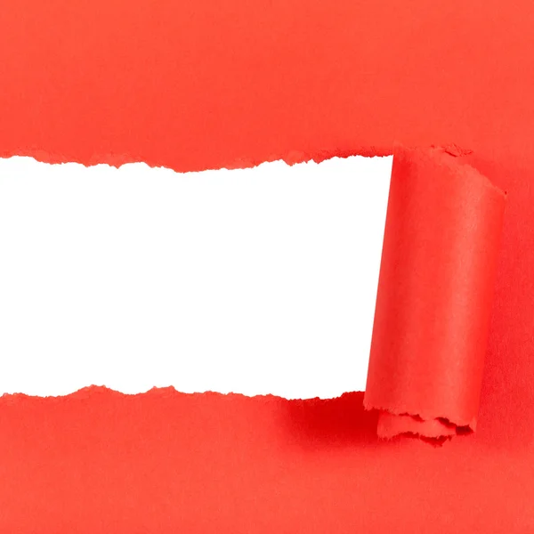 Red rolled-up torn paper on square background