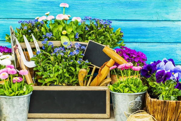 Garden tools, flowers on a wooden background