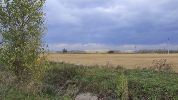 Картинки очарование природы Картинки очарование природы