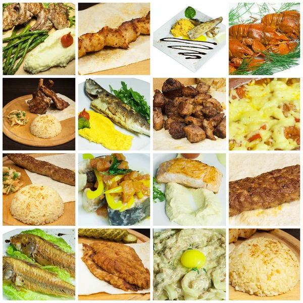 Collection of different meat and fish dishes
