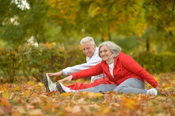 Couple exercising in park