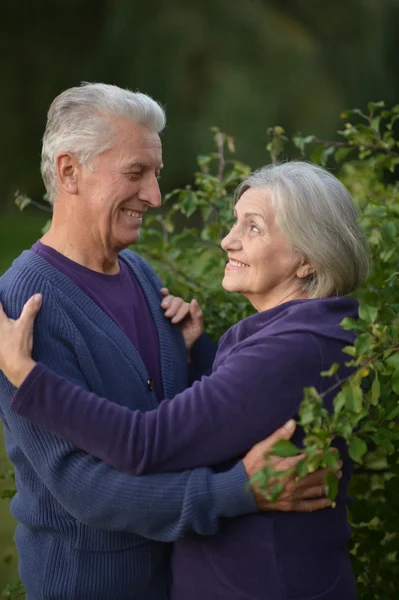 Elderly couple dancing in park