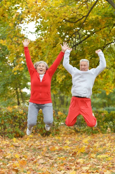 Senior couple exercising in  park