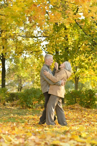 Mature couple dancing in park